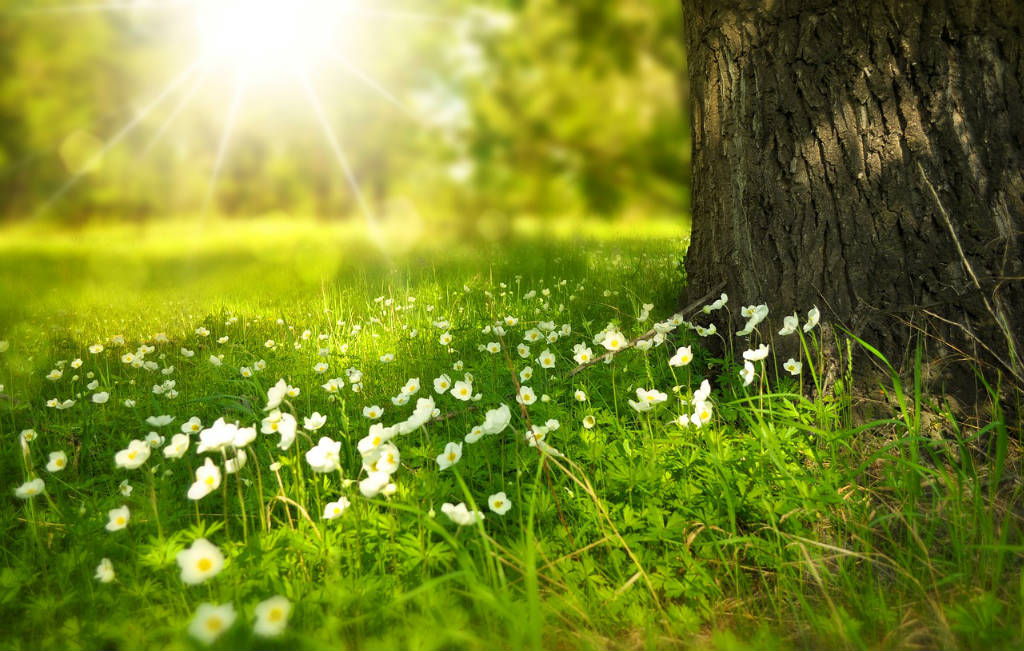 Naturhelden Kindergeburtstage In Der Natur Feiern Der Besondere